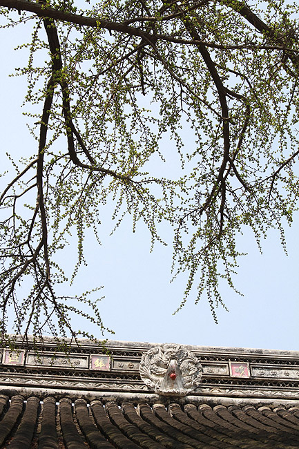Сучжоу, Храм Динхуэй (Suzhou, Dinghui Temple)