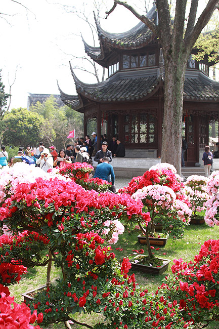Сучжоу, Сад Скромного Чиновника, Павильон Небесного Источника (Suzhou, Humble Administrator's Garden, Celestial Spring Pavilion)