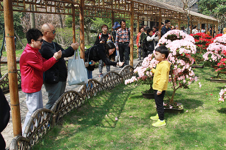 Сучжоу, Сад Скромного Чиновника, Восточный сад (Suzhou, Humble Administrator's Garden, East Garden)