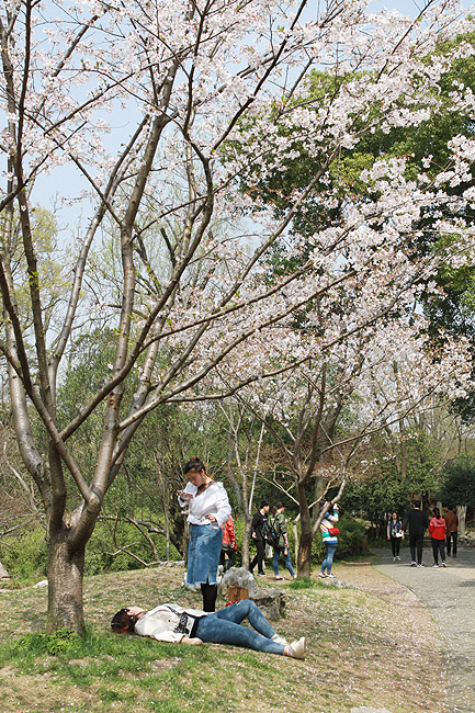 Сучжоу, Сад Скромного Чиновника, Восточный сад (Suzhou, Humble Administrator's Garden, East Garden)
