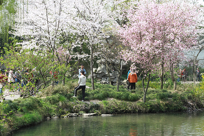 Сучжоу, Сад Скромного Чиновника, Восточный сад (Suzhou, Humble Administrator's Garden, East Garden)