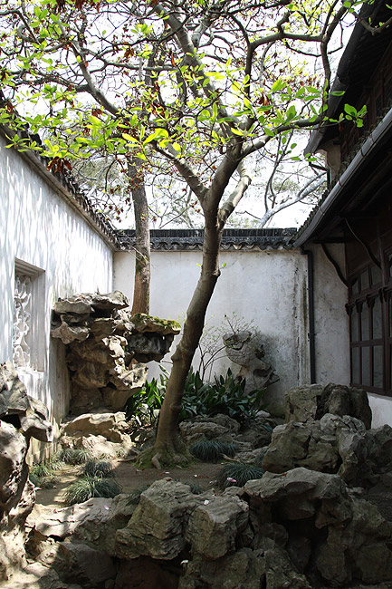 Сучжоу, Сад хозяина сетей, Во дворе Комнаты для медитаций (Suzhou, Master of Nets Garden, Courtyard of the Meditation Study)