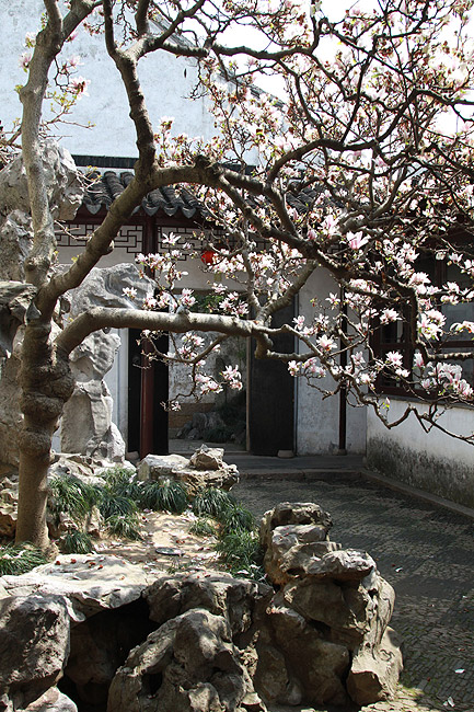 Сучжоу, Сад хозяина сетей, Рядом с Комнатой поднимаясь к облакам (Suzhou, Master of Nets Garden, Near the Ascending to Clouds Room)