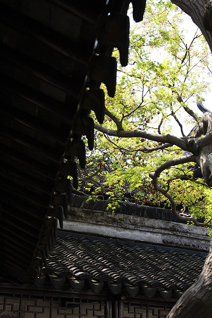 Сучжоу, Сад хозяина сетей, Комната поднимаясь к облакам (Suzhou, Master of Nets Garden, Ascending to Clouds Room)