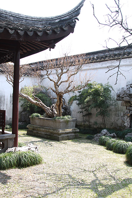 Сучжоу, Сад хозяина сетей, Павильон прохладного источника (Suzhou, Master of Nets Garden, Cool Spring Pavilion)
