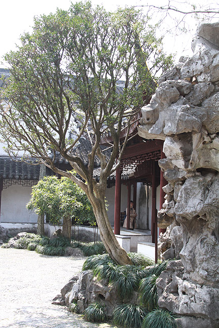 Сучжоу, Сад хозяина сетей, Дворик рядом с Залом пещеры облака (Suzhou, Master of Nets Garden, Courtyard near Cave of Cloud Hall)