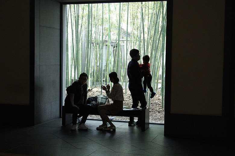 Музей Сучжоу (Suzhou Museum)