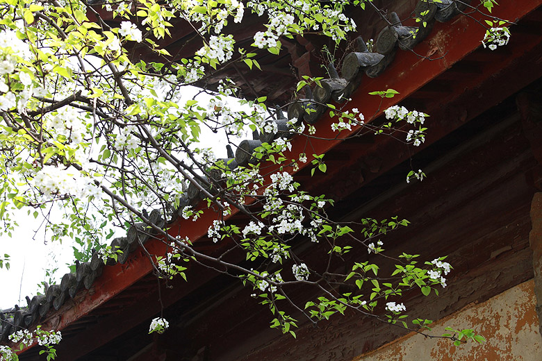 Сучжоу, Храм Баоэнь (Suzhou, Bao'en Temple)
