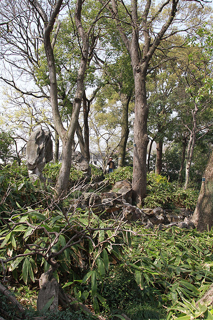 Сучжоу, Рядом с Павильоном Плещущихся Волн (Suzhou, Near the Surging Waves Pavilion)